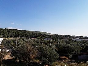 Güzelyalı Pansiyon